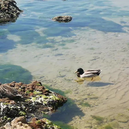 Casa La Noce Apartman *