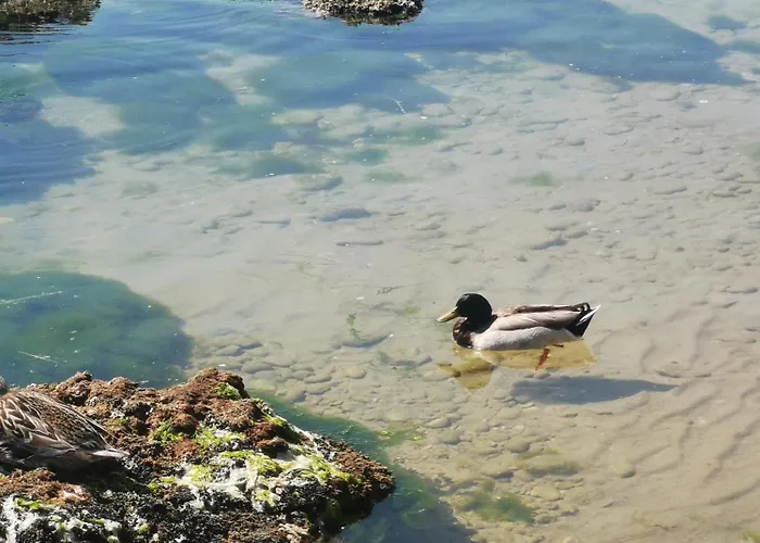 Casa La Noce Апартаменты *